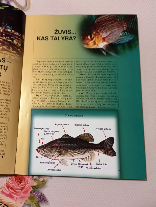 Gėlavandeniai akvariumai: įrengimas, priežiūra, žuvys - Autorių Kolektyvas, Danguolė Kandrotienė, knyga 4