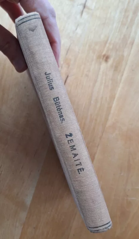 Žemaitė - Julius Būtėnas, knyga 4