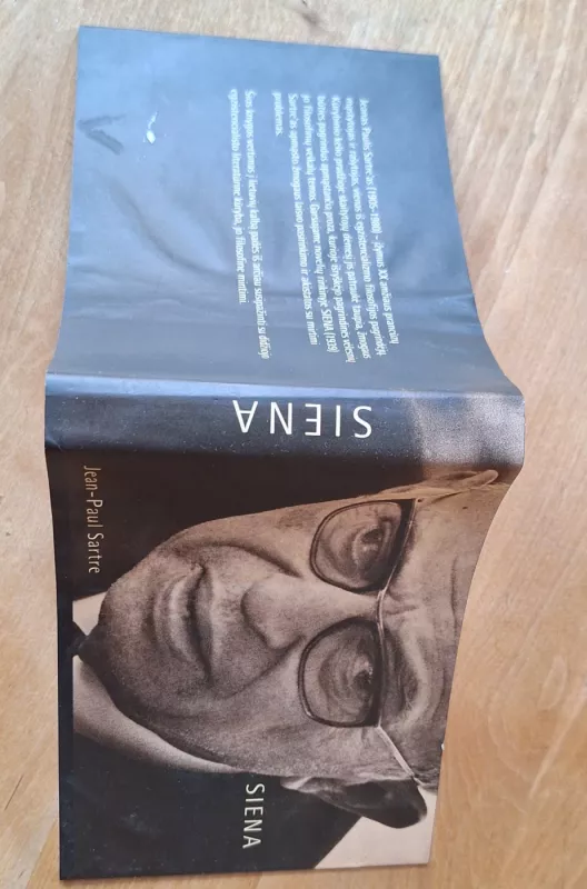 Siena - Jean Paul Sartre, knyga 4