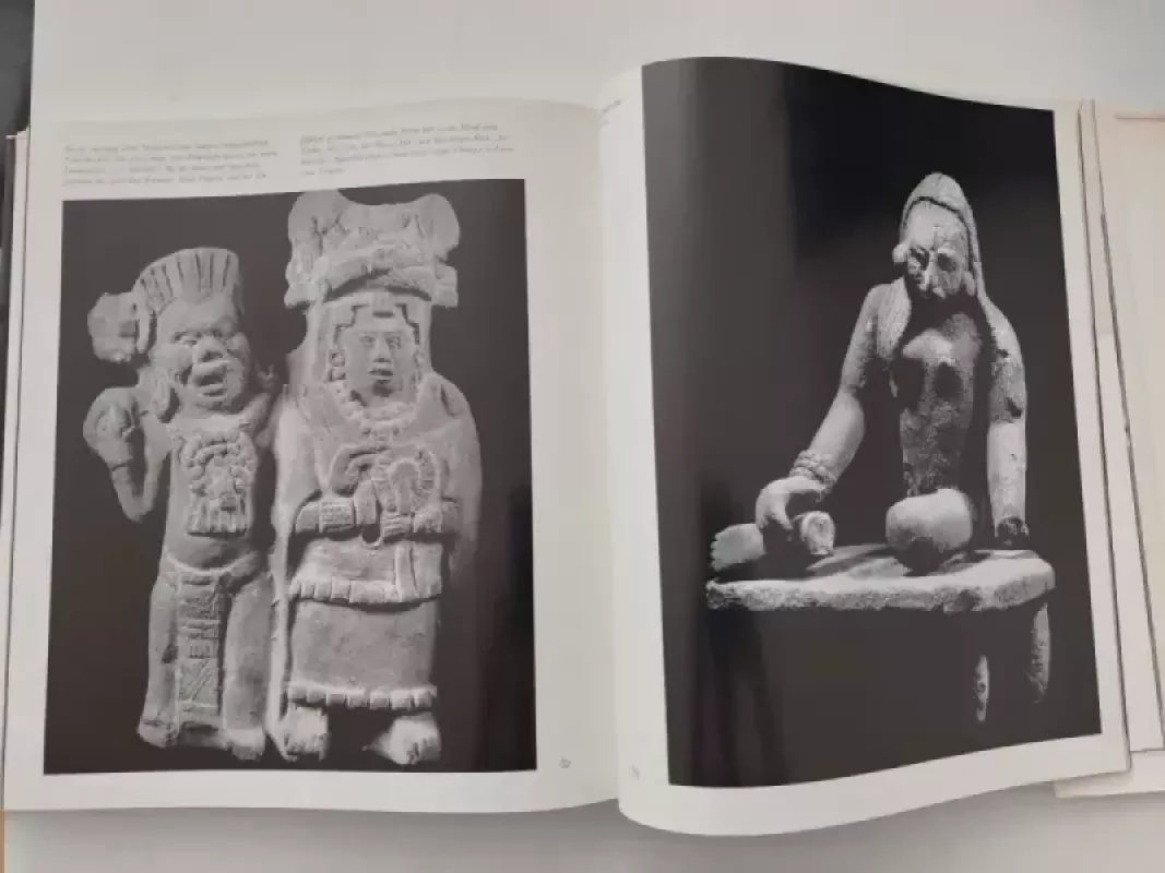 Moteris senovės Afrikos mene - Ferdinand Anton, knyga 4