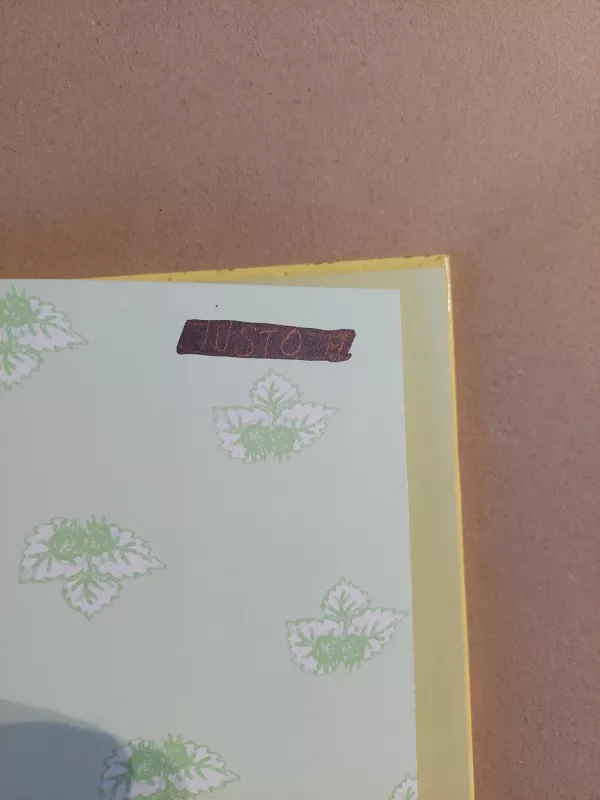 Aviečiautojai rudnosiai - Teodora Toth, knyga 3