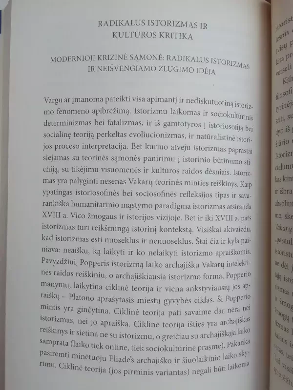 Moderniosios kultūros filosofijos metmenys - Leonidas Donskis, knyga 6