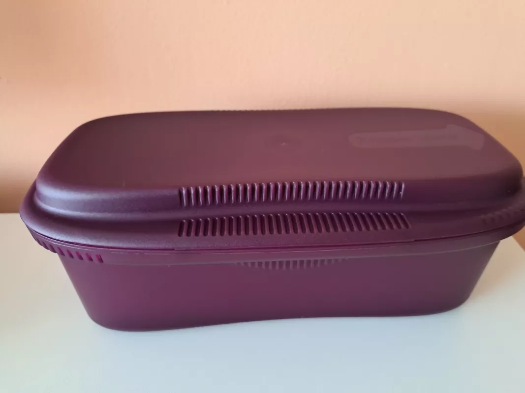 EasyPasta 1,9 l - , namai ir interjeras 3