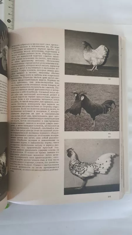 Illiustrirovannaja enciklopedija ptic - Jan Ganzak, knyga 3