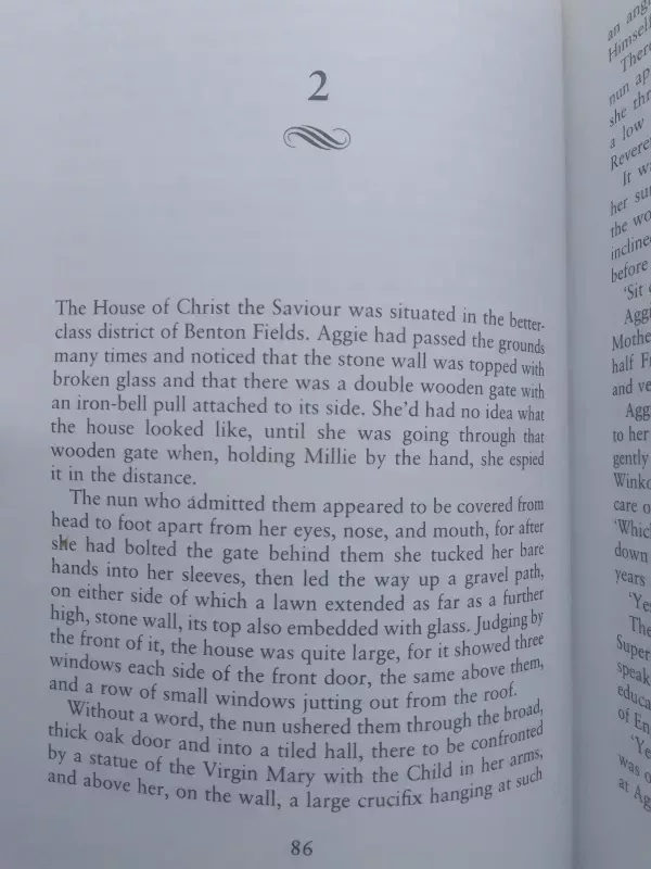 The rag nymph - Catherine Cookson, knyga 6