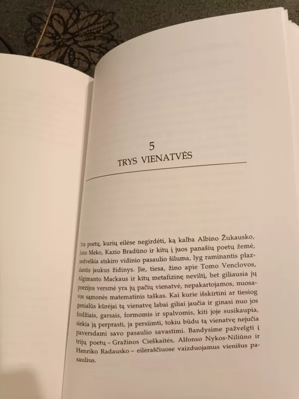 Poezijos skaitymai - Rimvydas Šilbajoris, knyga 3