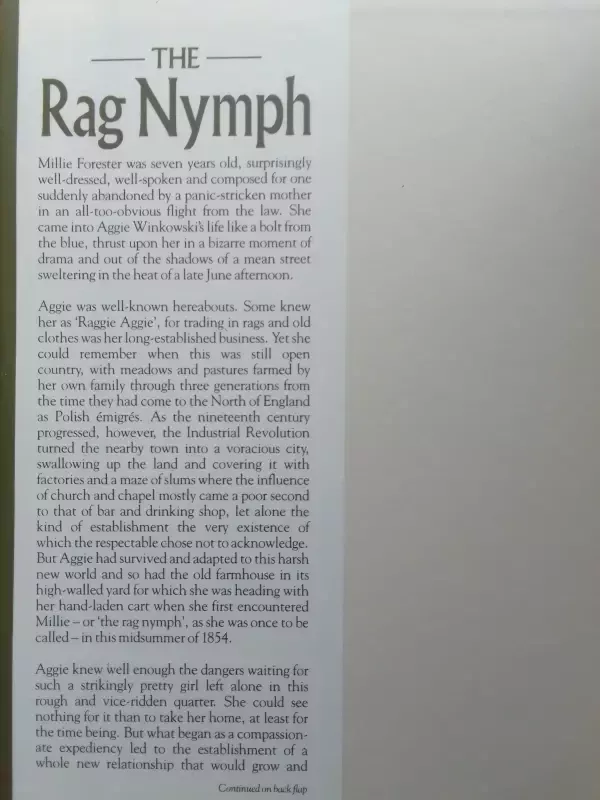 The rag nymph - Catherine Cookson, knyga 3