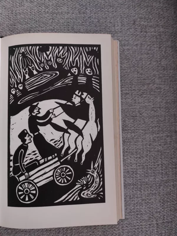 Die Mühle des Baltaragis - Kazys Boruta, knyga 5