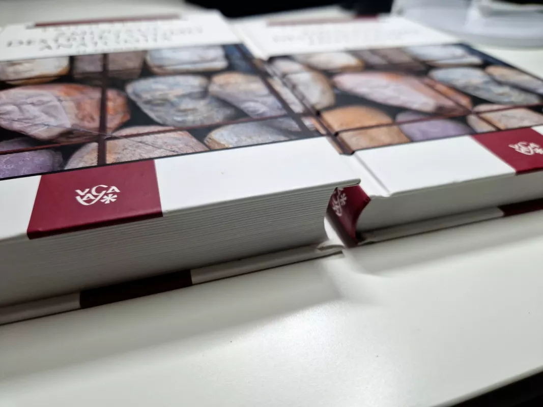 Žmogaus destruktyvumo anatomija - Erich Fromm, knyga 4