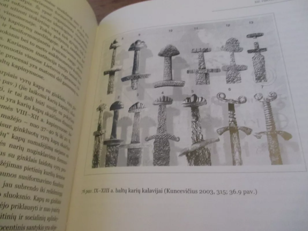 Lietuvos archeologija IV tomas. Vikingų laikai ir ikivalstybinis laikotarpis - Vladas Žulkus, knyga 5