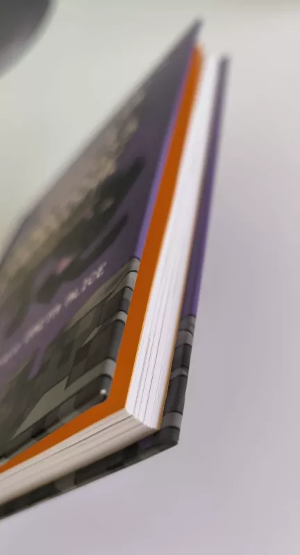 Žmonija prieš pabaigos drakonę - Tomas Dirgėla, knyga 5