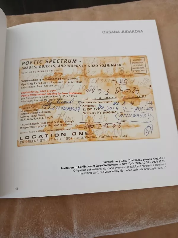 Ultima ratio - Virginija Vitkienė, knyga 4