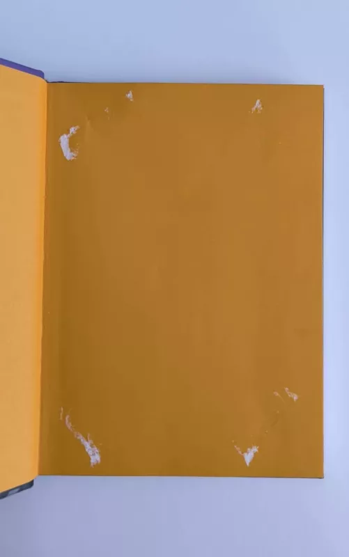 Žmonija prieš pabaigos drakonę - Tomas Dirgėla, knyga 6