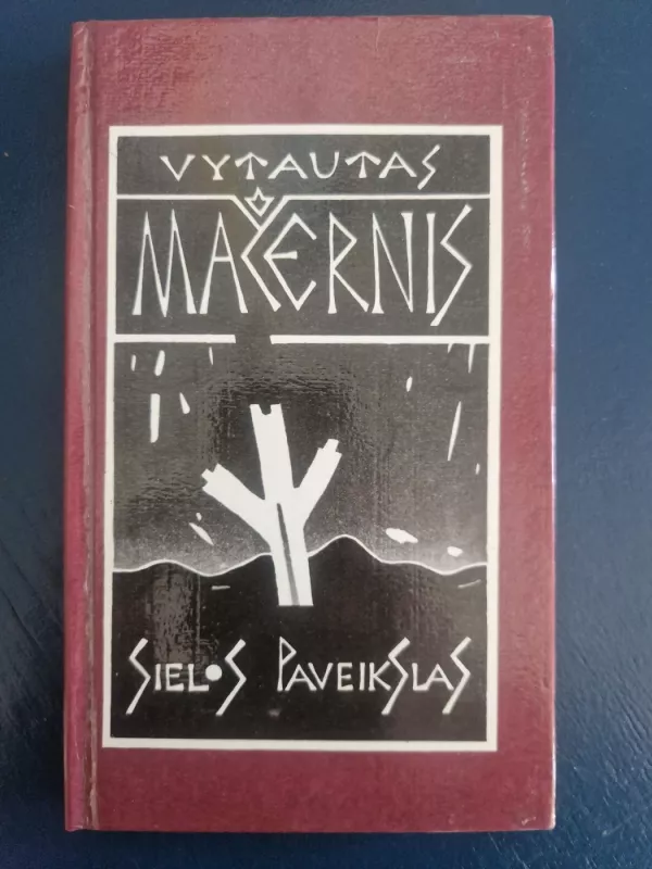 Sielos paveikslas - Vytautas Mačernis, knyga 2