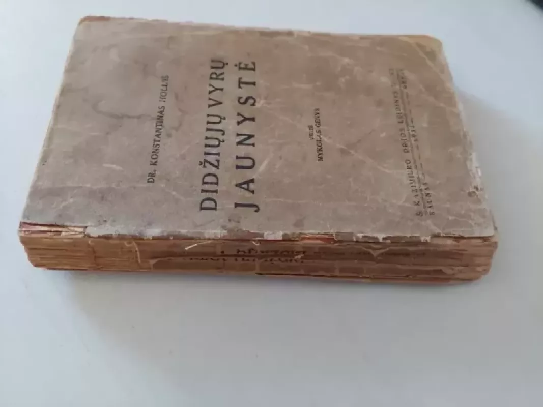 Didžiųjų vyrų jaunystė - Konstantinas Holl, knyga 3