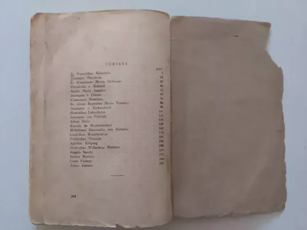 Didžiųjų vyrų jaunystė - Konstantinas Holl, knyga 5