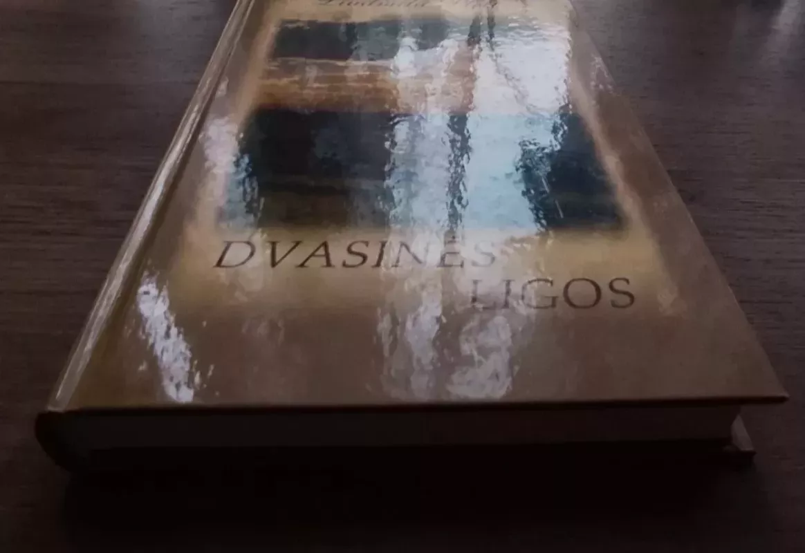 Dvasinės ligos - Liudmila Plett, knyga 2