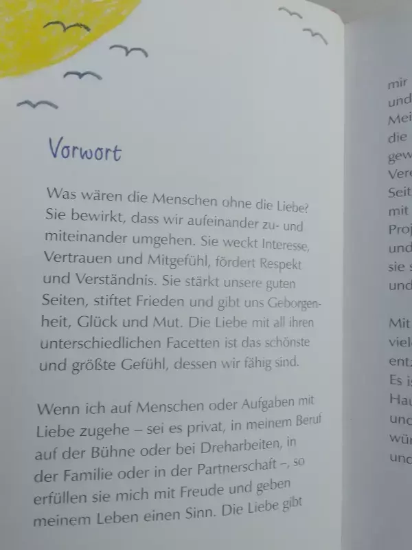 Die Liebe gibt mir Rūckenwind - Jutta Speidell, knyga 6