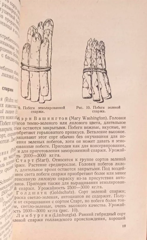 Šparagai, rusų k. - F.Belane, knyga 5