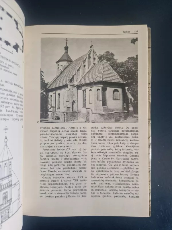 Lietuvos architektūros istorija (1 tomas) - Jonas Minkevičius, knyga 4