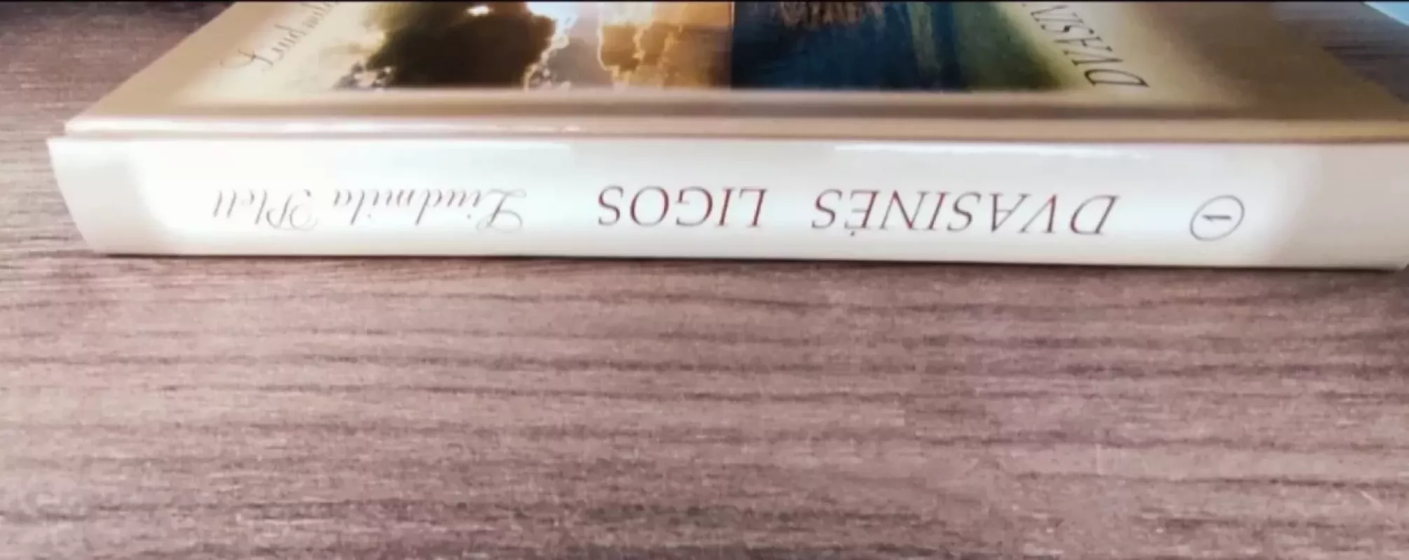 Dvasinės ligos - Liudmila Plett, knyga 4