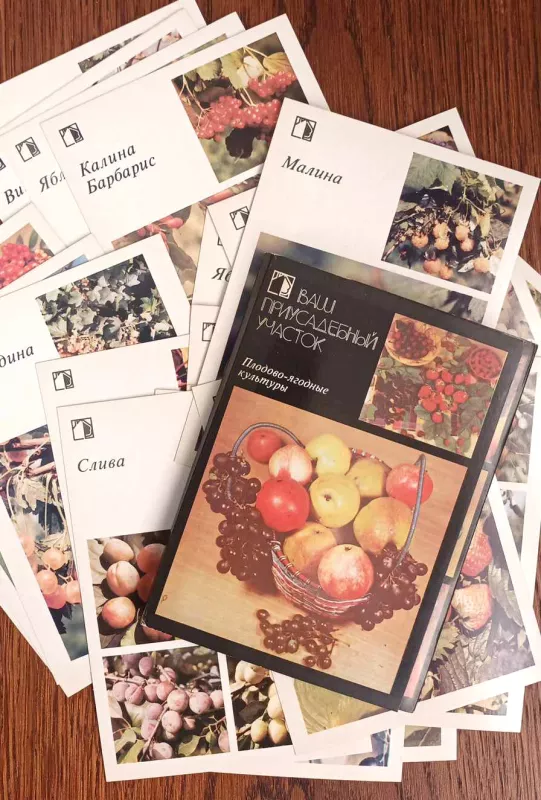 Jūsų sodo sklypas, vaisiai ir uogos, 18vnt. atvirukų rink., rusų k. - Autorių Kolektyvas, knyga 2