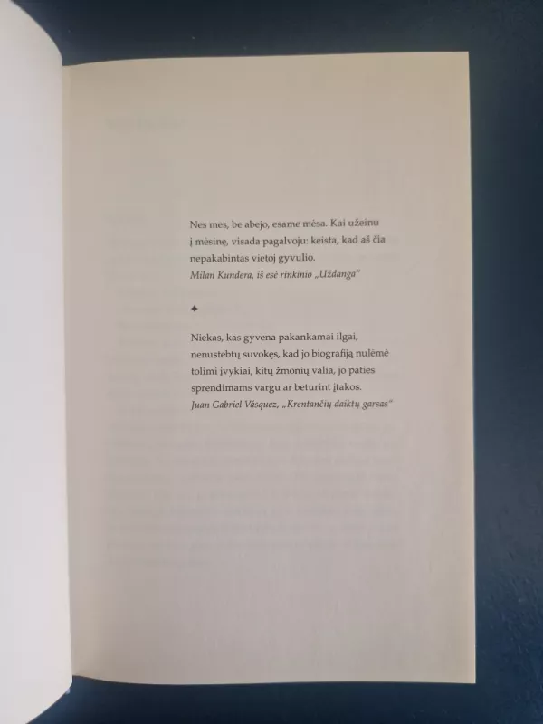 Aš sėdėjau Stalinui ant kelių - Markas Zingeris, knyga 6