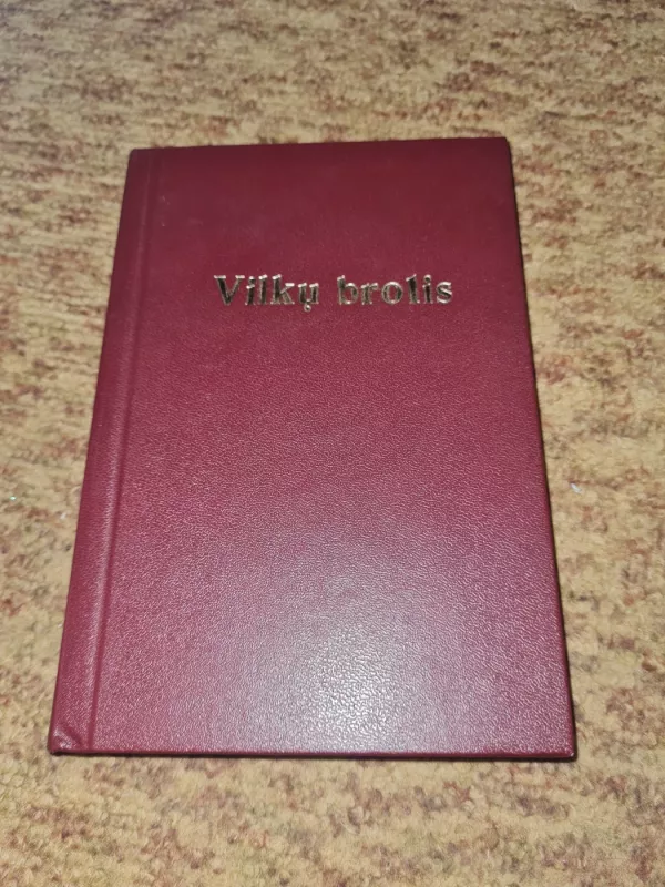 Vilkų brolis : Pranciškonas tėvas Linas iš Parmos - Icilio Felici, knyga 2