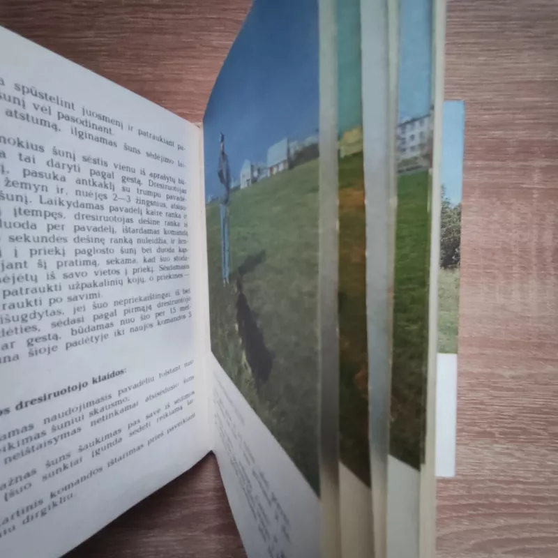 Tarnybinė šunininkystė - Karolis Masilionis, knyga 4