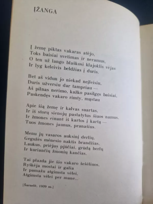 Sielos paveikslas - Vytautas Mačernis, knyga 4