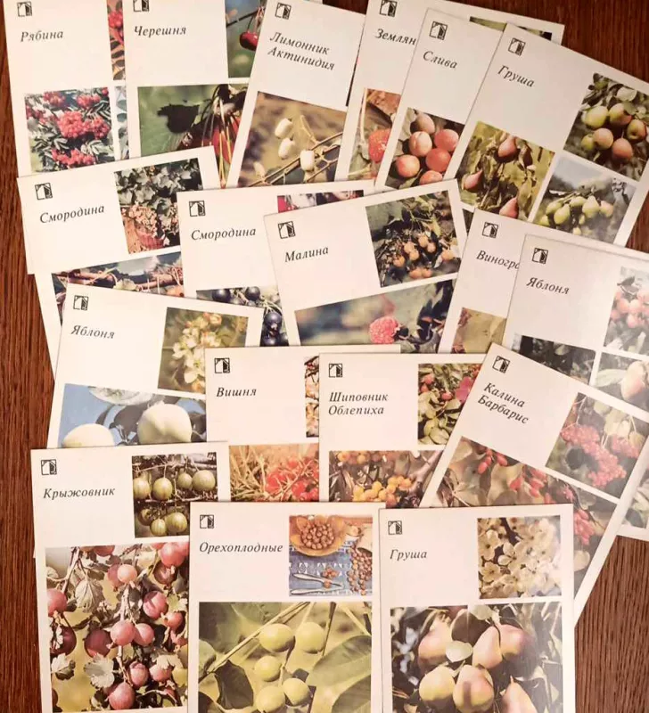 Jūsų sodo sklypas, vaisiai ir uogos, 18vnt. atvirukų rink., rusų k. - Autorių Kolektyvas, knyga 6