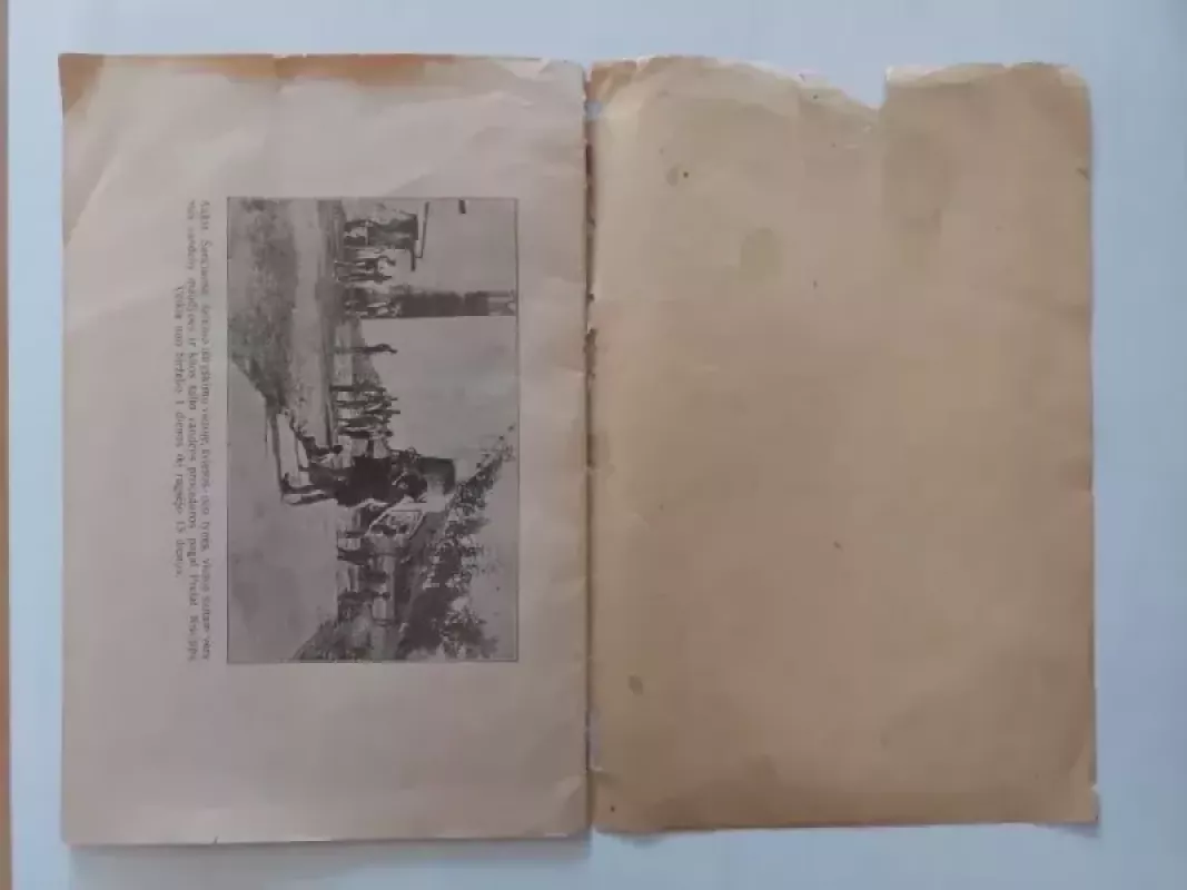 Mineralinių vandenų gradacija ir Šančių versmės mineralinis vanduo - J. Vecckūnas, knyga 5