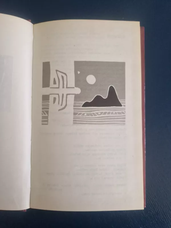 Sielos paveikslas - Vytautas Mačernis, knyga 5