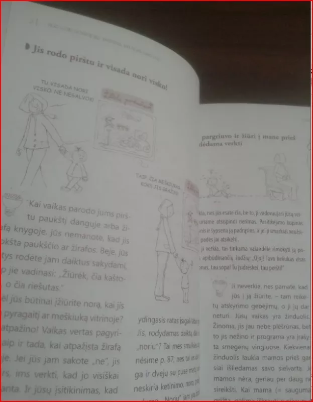 Viską išbandžiau. Priešgyniavimas, ašaros ir įniršio priepuoliai. Kaip ramiai išlaukti 1-5 metų laikotarpį - Isabelle Filliozat, knyga 6