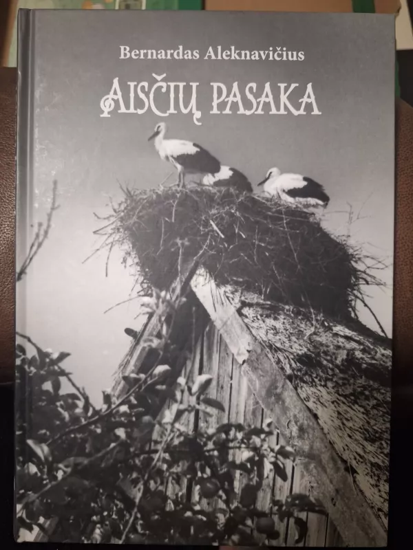 Aisčių pasaka: nuo Rambyno žvelgiant - Bernardas Aleknavičius, knyga 2