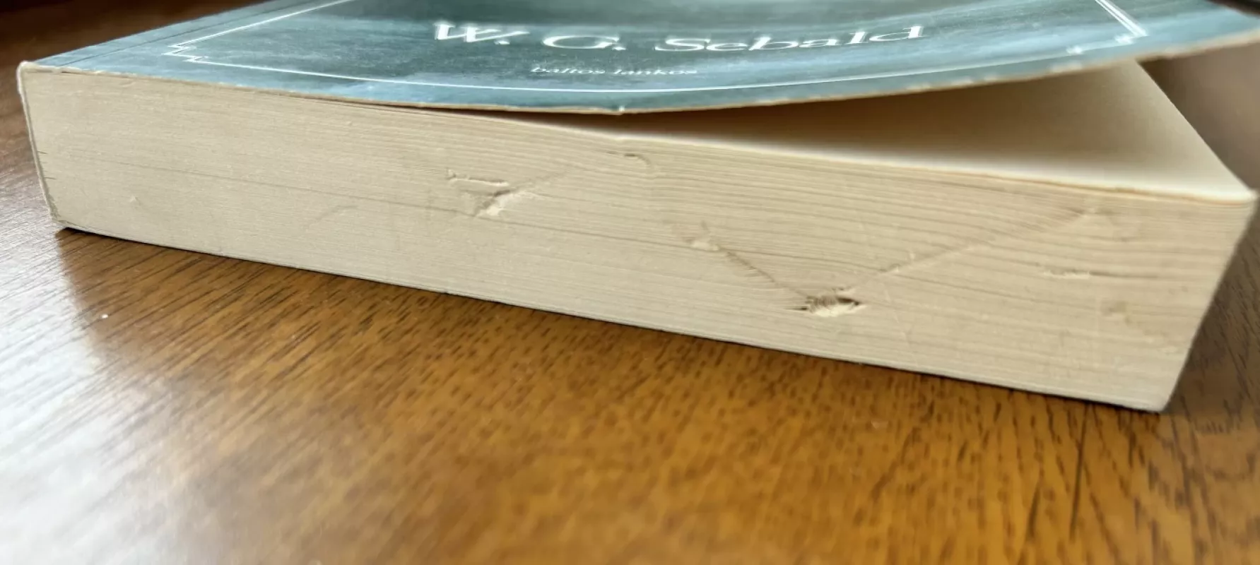 Išeiviai - W.G. Sebald, knyga 3