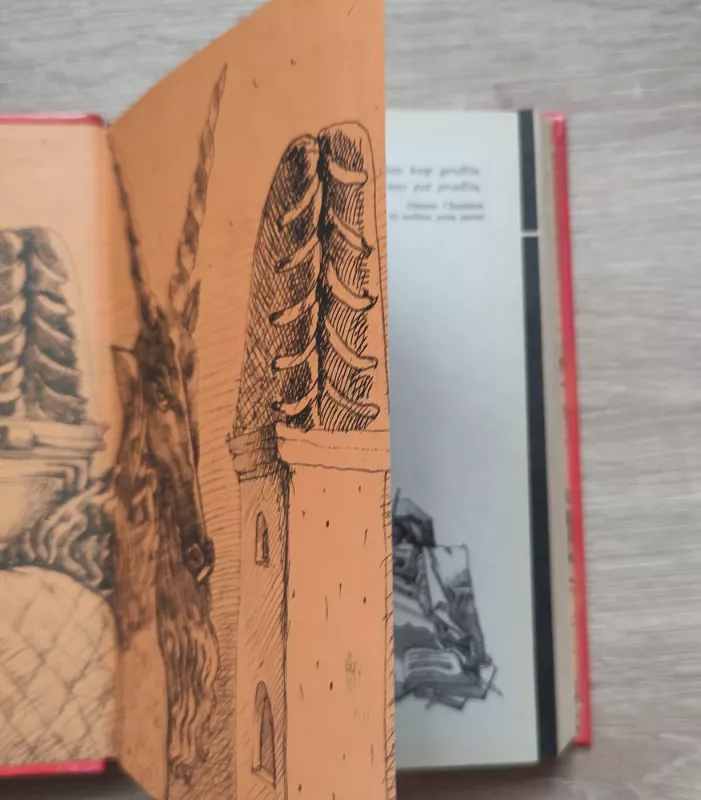 Burtai, papročiai, sapnai, horoskopai: Nori-tikėk, nori-ne - Dalia Montvilienė, knyga 4