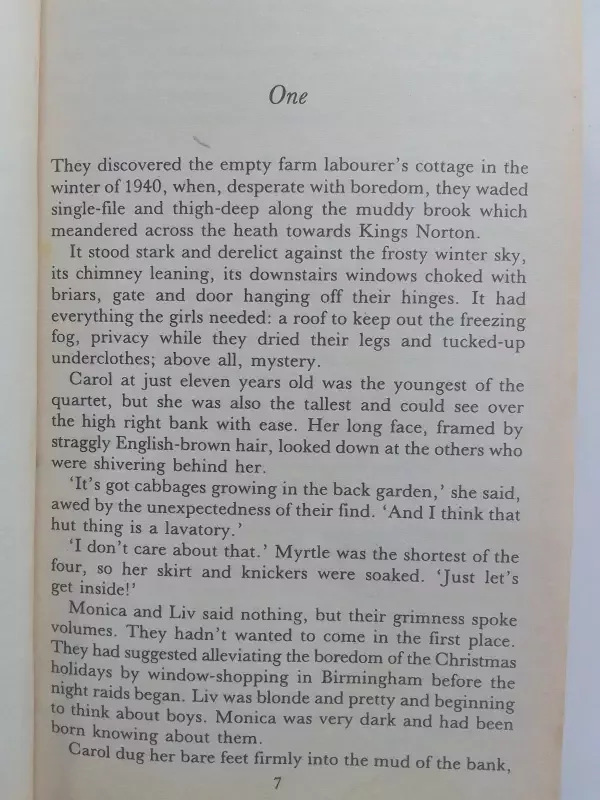 By sun and candlelight - Susan Sallis, knyga 4