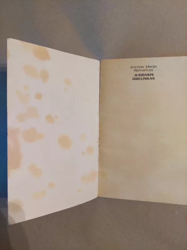 Juodasis obeliskas - E.M. Remarkas, knyga 3