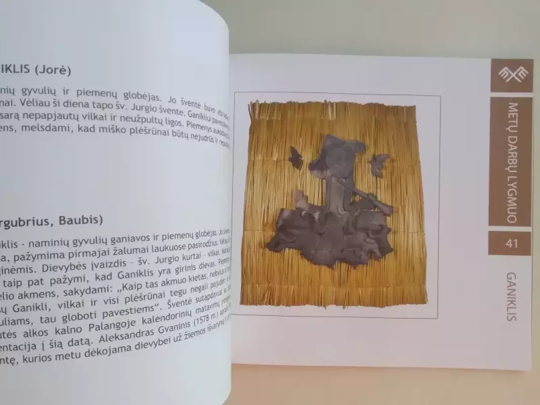 Tarp žemės ir dangaus dievybių - Genovaitė Jacėnaitė, knyga 5