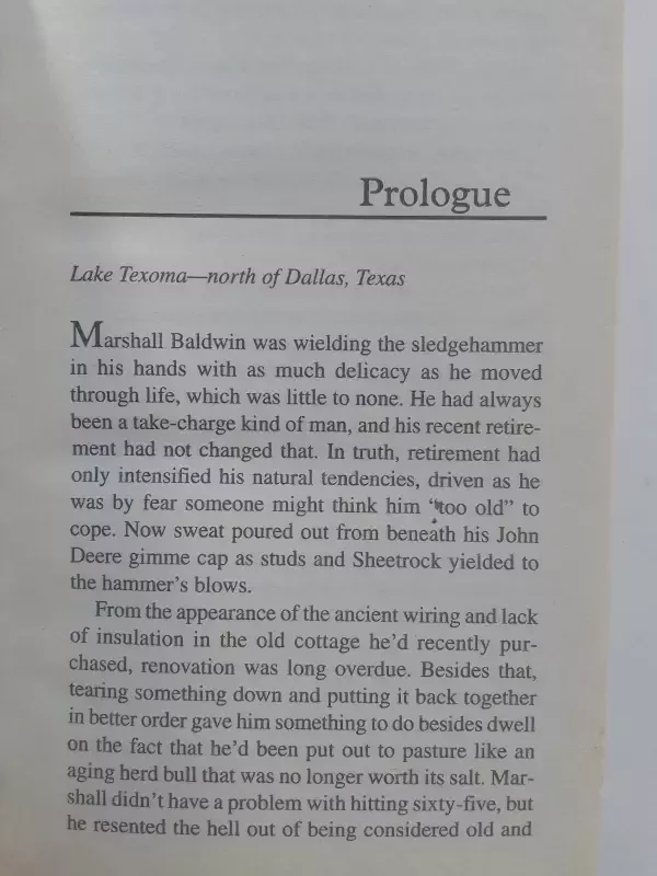 Bloodlines USA Today bestselling author - Dinah McCall, knyga 3