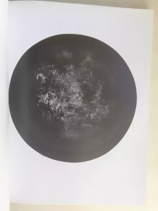 Art Vilnius 2015 - Autorių Kolektyvas, knyga 5