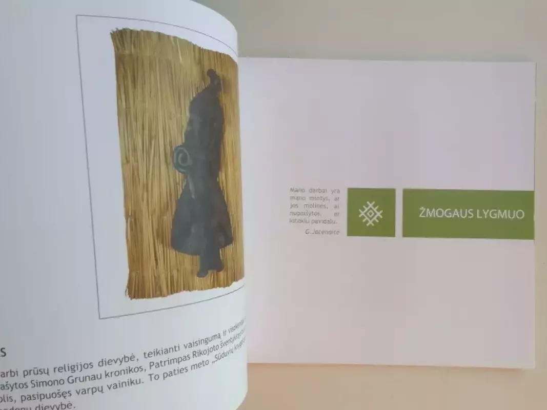 Tarp žemės ir dangaus dievybių - Genovaitė Jacėnaitė, knyga 6