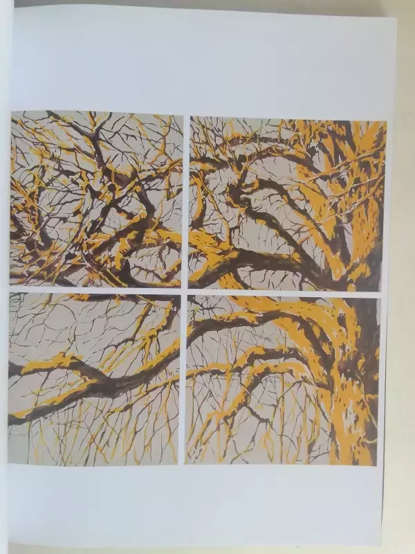 Art Vilnius 2015 - Autorių Kolektyvas, knyga 4