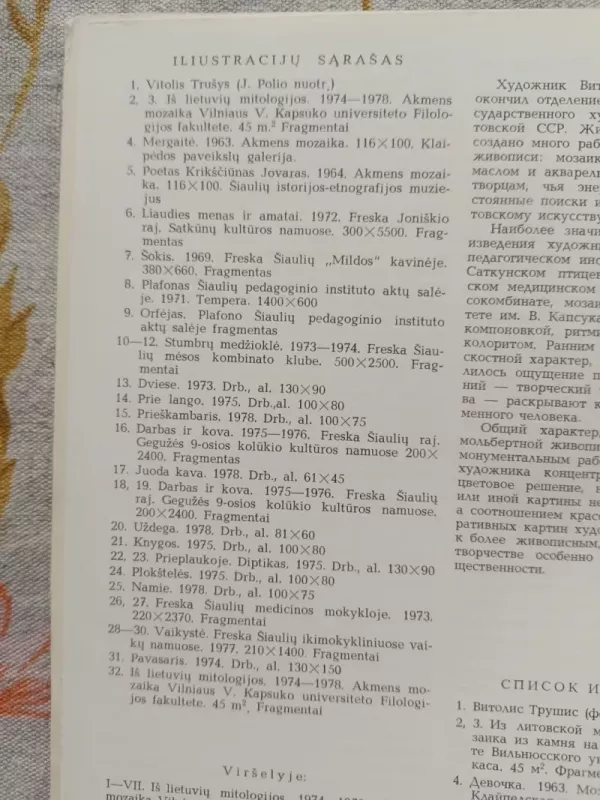 Vytolis Trušys - Autorius Nežinonamas, knyga 3