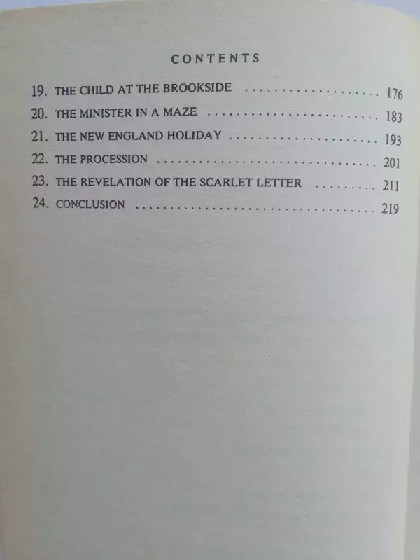 The Scarlet Letter - Nathaniel Hawthorne, knyga 5