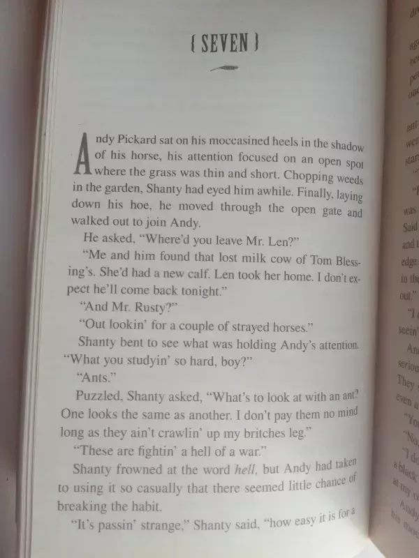 Badger boy and the way of the way of the coyote - Elmer Kelton, knyga 6