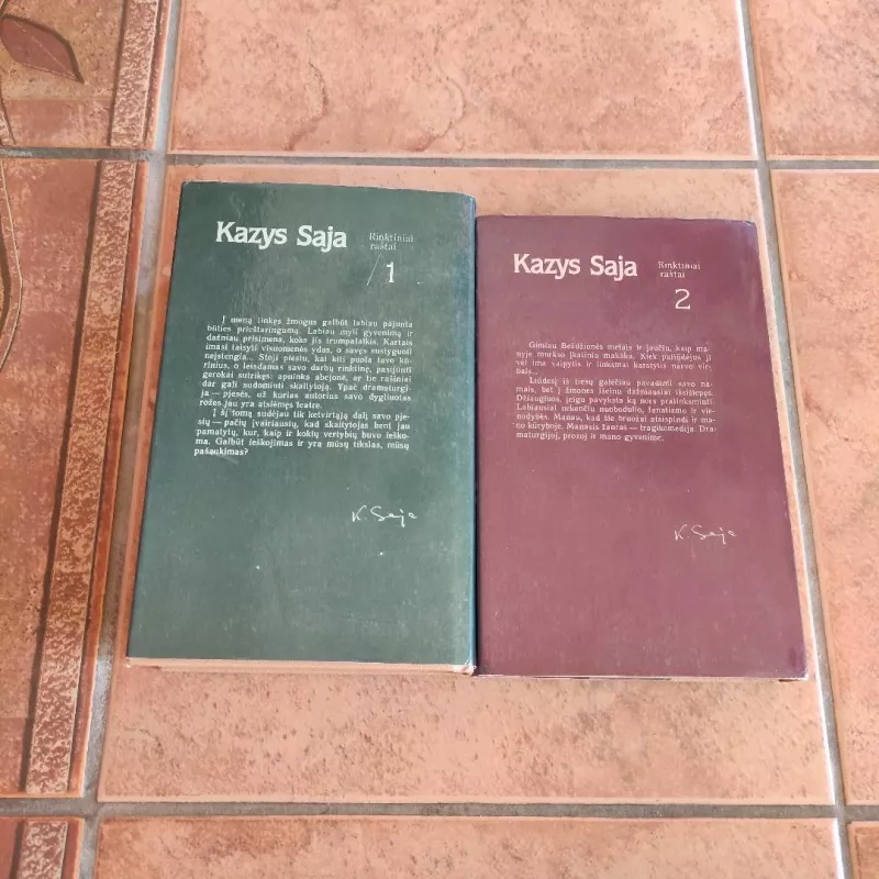 Rinktiniai raštai (2 tomai) - Kazys Saja, knyga 6