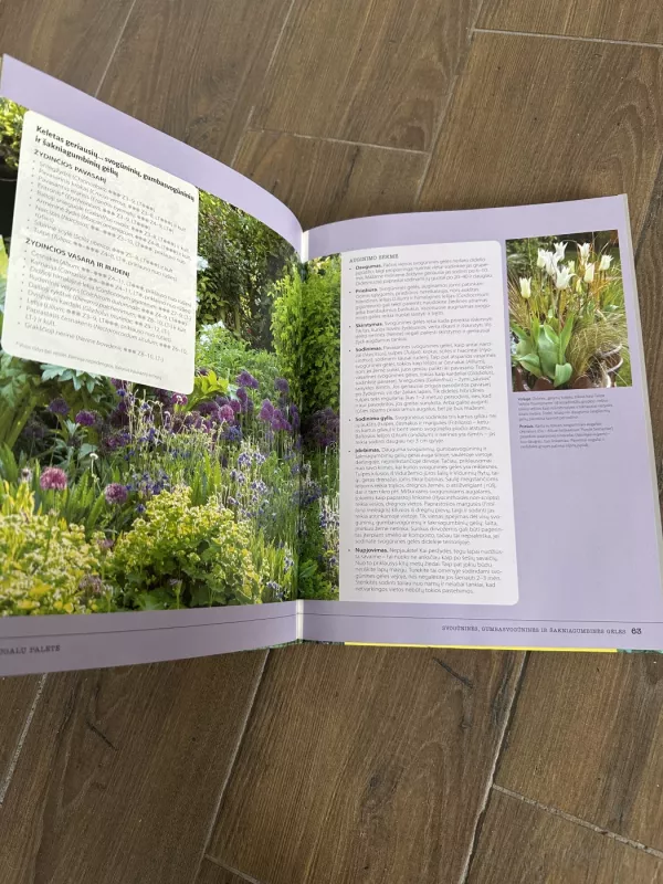 Sodas: idėjos, dizainas, augalai - Matt James, knyga 4