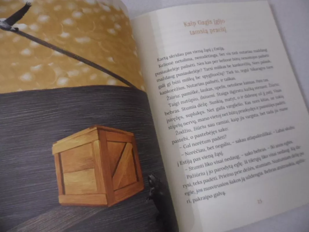 Žąsino Gagio kelionės - Aidas Jurašius, knyga 5